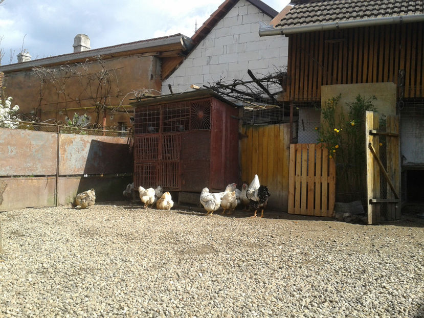  - 1 - MATCĂ II 2024 -