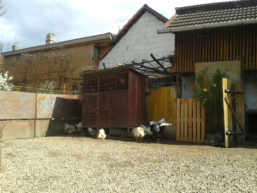  - 1 - MATCĂ II 2024 -