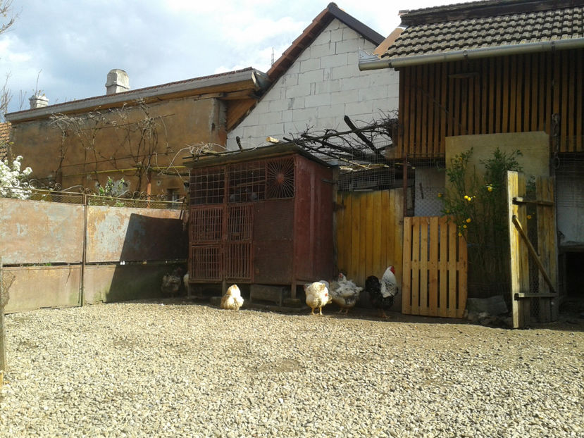  - 1 - MATCĂ II 2024 -