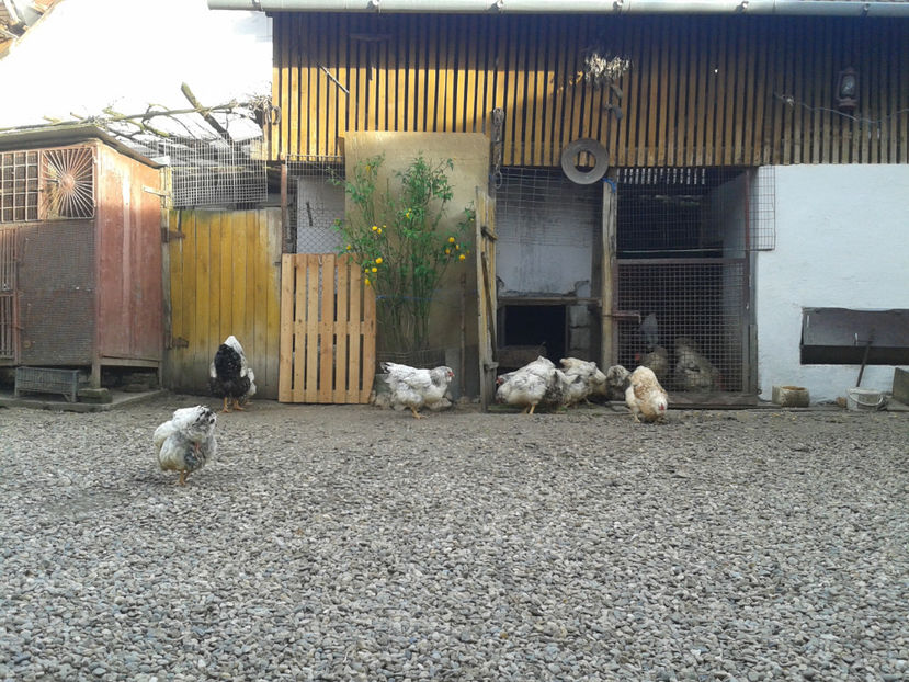 ‎vineri, ‎5 ‎aprilie ‎2024, ‏‎18:26:52 - 1 - MATCĂ II 2024 -