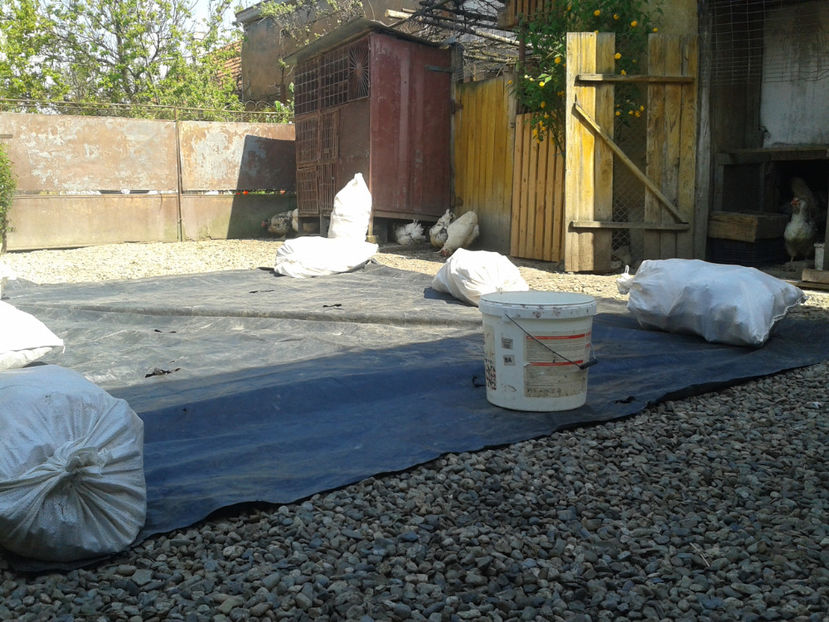  - 1 - MATCĂ II 2024 -