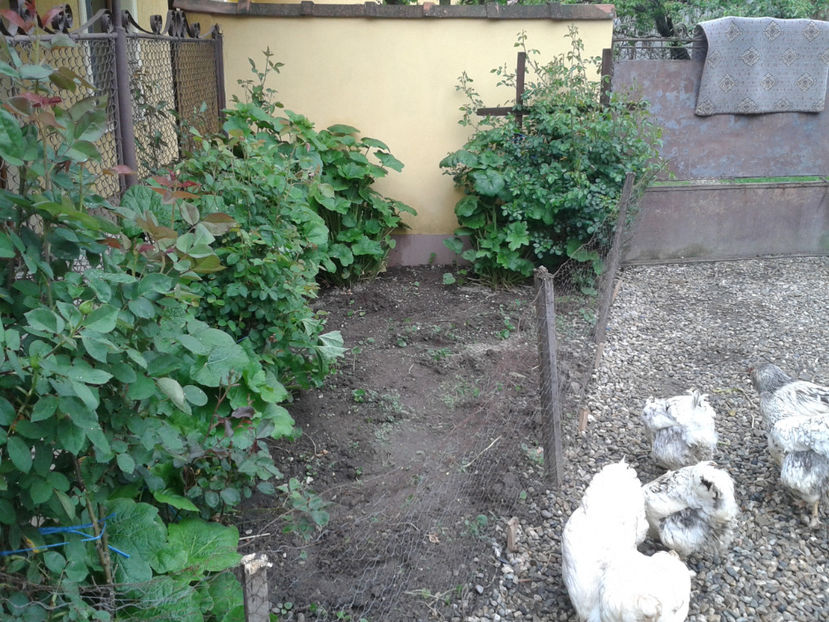 ‎miercuri, ‎17 ‎aprilie ‎2024, ‏‎17:03:43 - 1 - MATCĂ II 2024 -