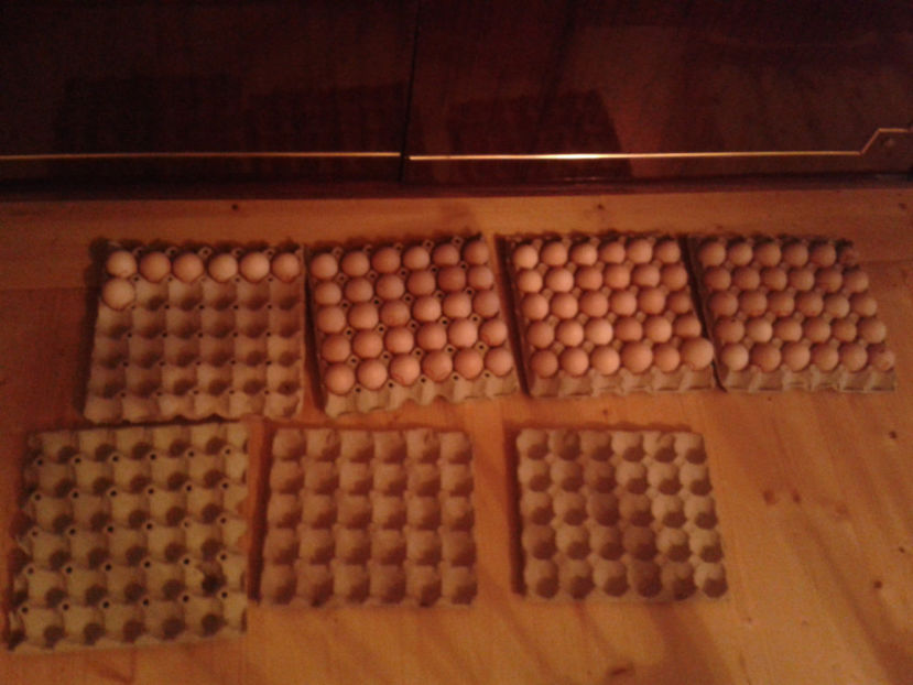 ‎luni, ‎1 ‎aprilie ‎2024, ‏‎17:44:47 - 3 - MATCĂ I 2024 -