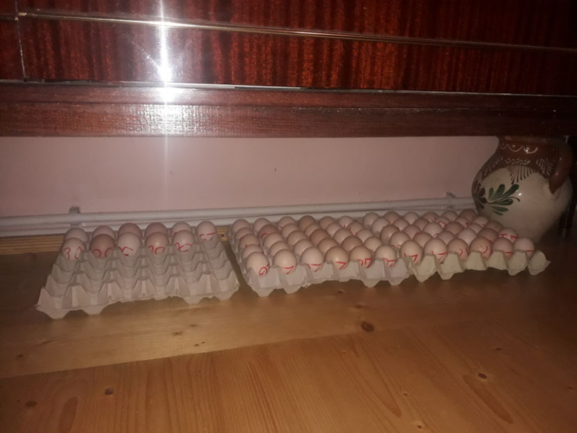  - 1 - MATCĂ II 2024 -