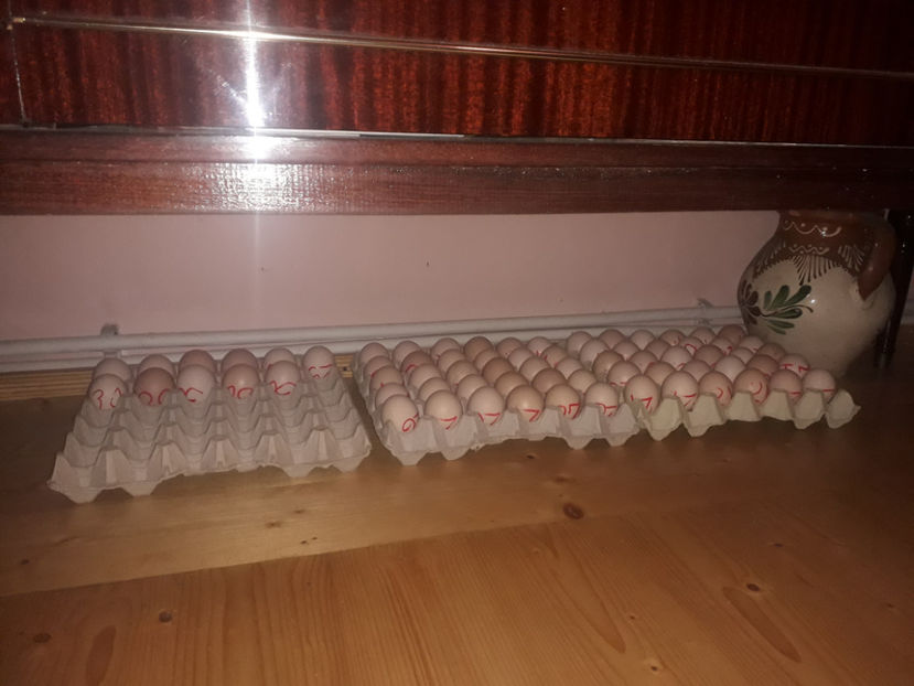  - 1 - MATCĂ II 2024 -