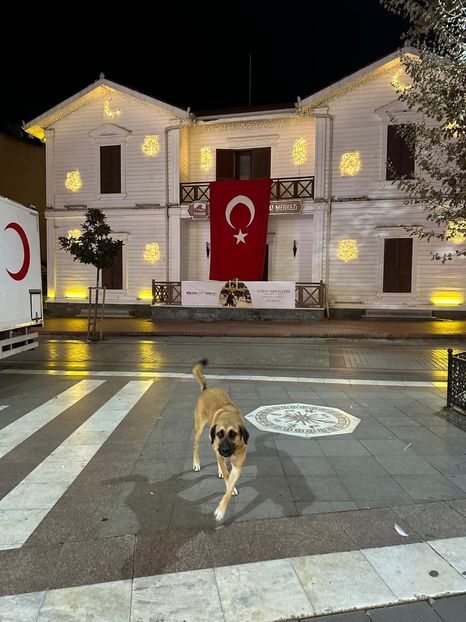 c5e9d433-59dc-40da-8639-780554c73843 - 2024NOV12AMMANPENDIK