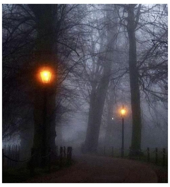 ♡ ɴᴏᴠᴇᴍʙᴇʀ 13  » „Because the night belongs to lovers, because the night belongs to love..” - Tomnatic și nostalgic