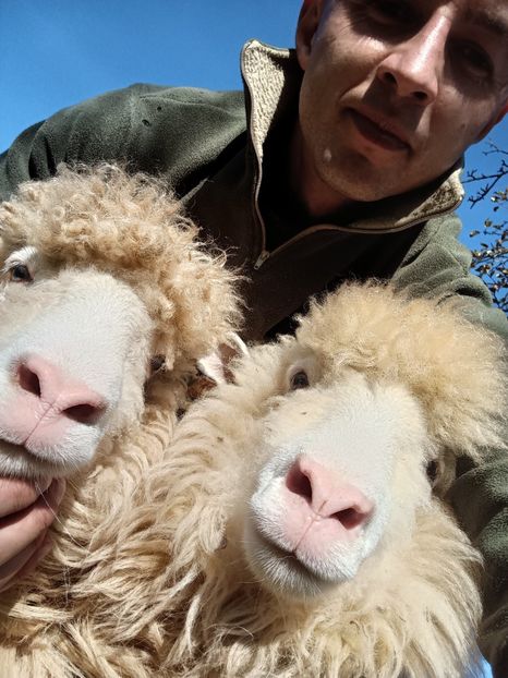 IMG20241108124628 - Turcana alba