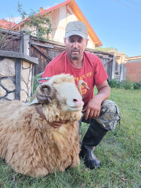 IMG20240722182411 - Turcana alba