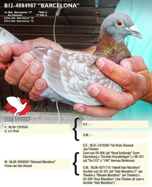 cooman-marcbe12-4084987-barcelona (2) - QUATTRO BARCA - Gebr Herbots 4 x 1 nat BARCELONA