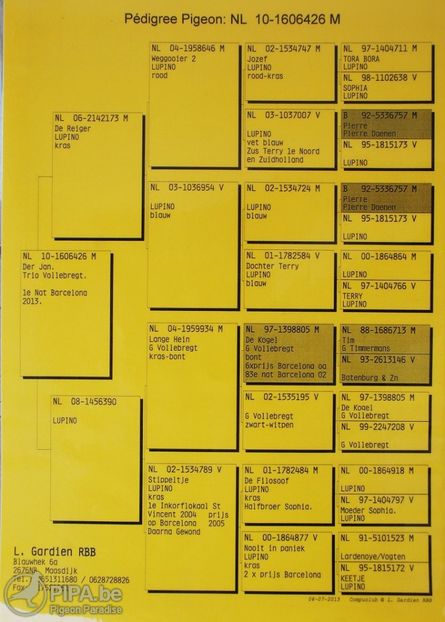 stamboom_der_jan1 - QUATTRO BARCA - Gebr Herbots 4 x 1 nat BARCELONA