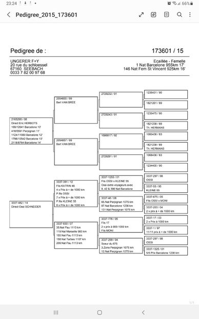 Screenshot_20241113-232446_Samsung Notes - QUATTRO BARCA - Gebr Herbots 4 x 1 nat BARCELONA