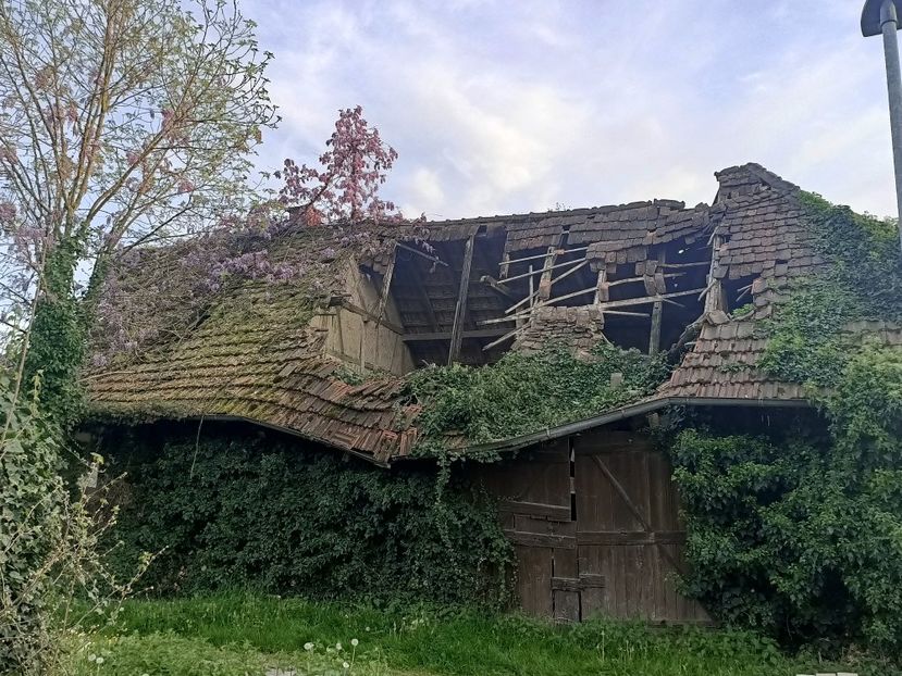 Img.2024.04.14 - 1 Achiziție nouă