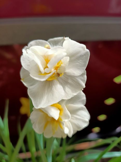 Img.2024.04.07 - 1 Achiziție nouă