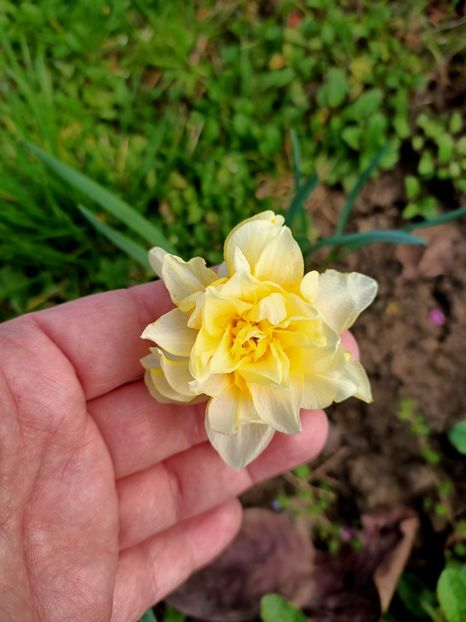 Img.2024.04.05 - 1 Achiziție nouă