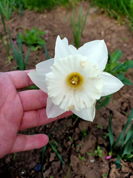 Img.2024.04.05 - 1 Achiziție nouă