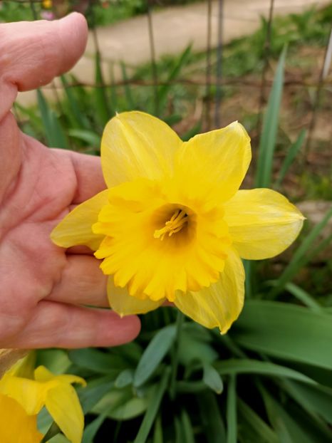 Img.2024.04.02 - 1 Achiziție nouă