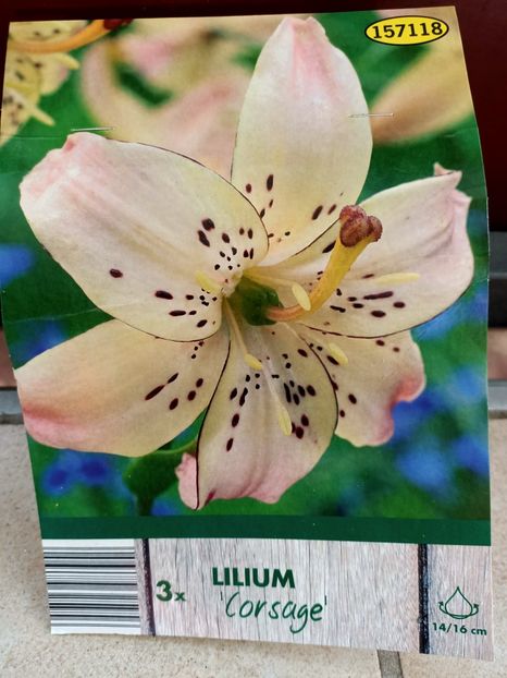 Img.2024.03.22 - 1 Achiziție nouă