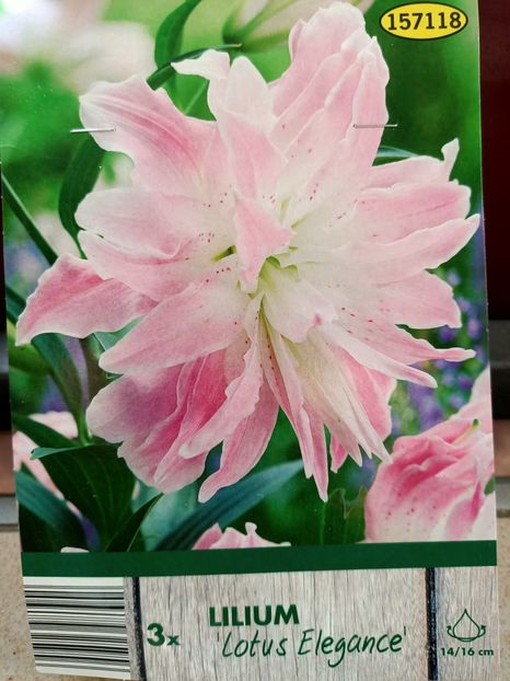 Img.2024.03.22 - 1 Achiziție nouă