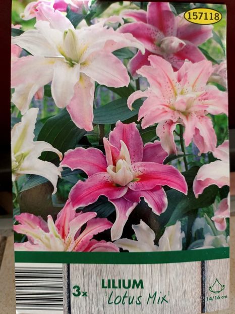 Img.2024.03.22 - 1 Achiziție nouă