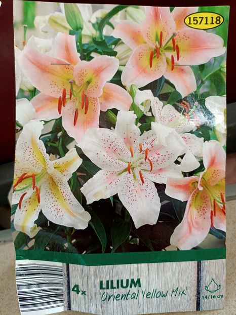 Img.2024.03.22 - 1 Achiziție nouă