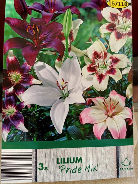 Img.2024.03.22 - 1 Achiziție nouă