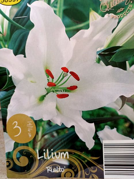 Img.2024.03.22 - 1 Achiziție nouă