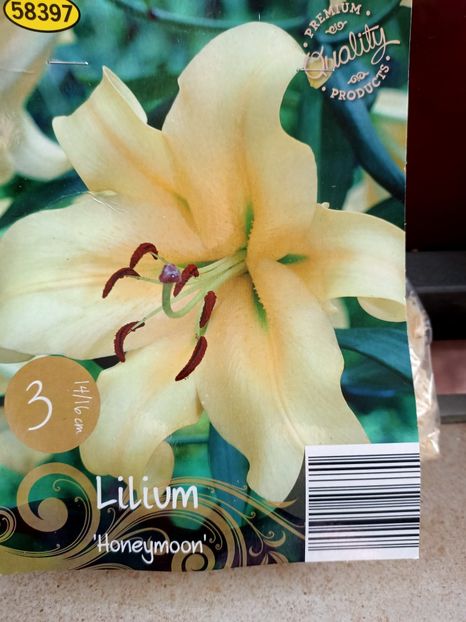 Img.2024.03.22 - 1 Achiziție nouă