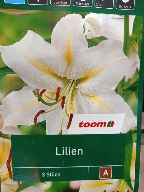 Img.2024.03.22 - 1 Achiziție nouă