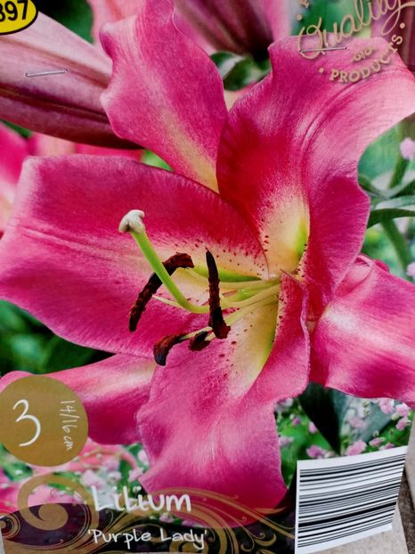 Img.2024.03.22 - 1 Achiziție nouă