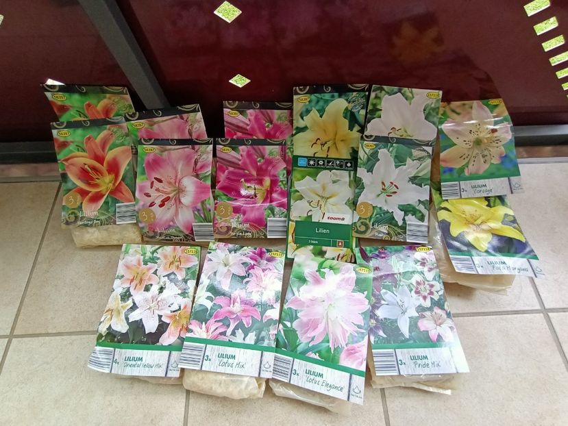 Img.2024.03.22 - 1 Achiziție nouă