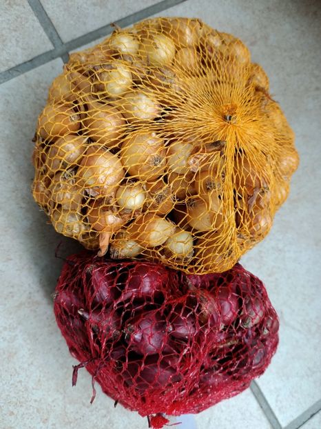 Img.2024.03.22 - 1 Achiziție nouă