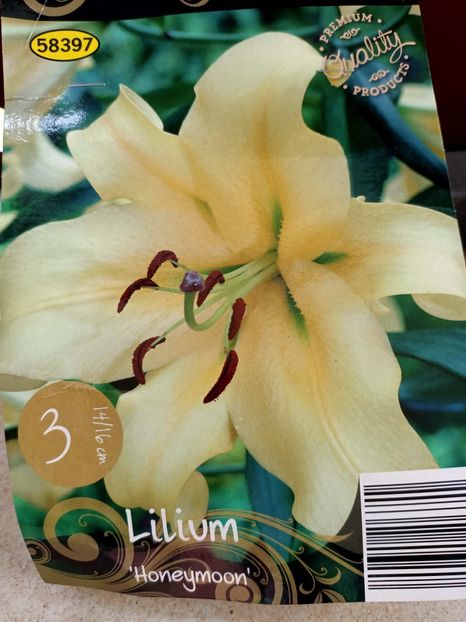 Img.2024.03.22 - 1 Achiziție nouă