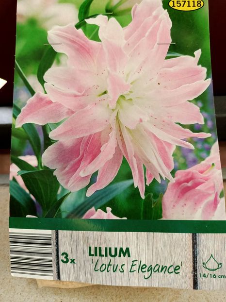 Img.2024.03.22 - 1 Achiziție nouă