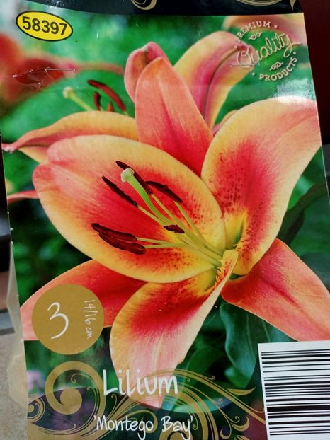 Img.2024.03.22 - 1 Achiziție nouă