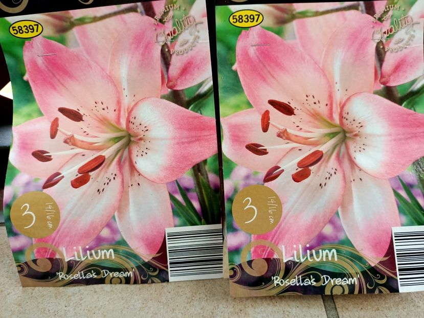 Img.2024.03.22 - 1 Achiziție nouă