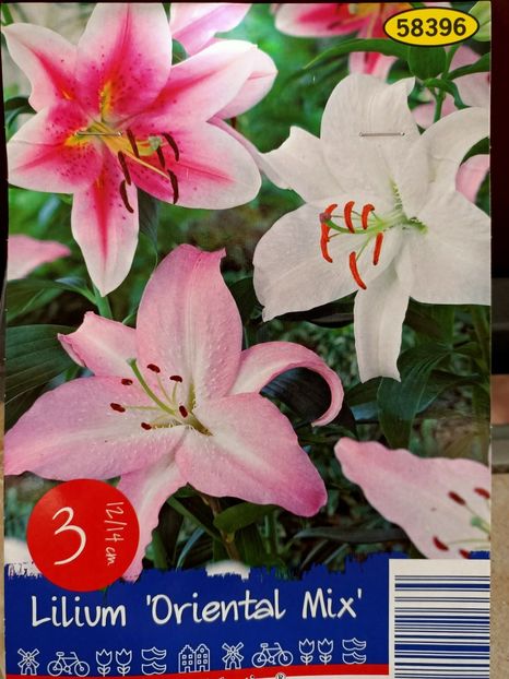 Img.2024.03.22 - 1 Achiziție nouă