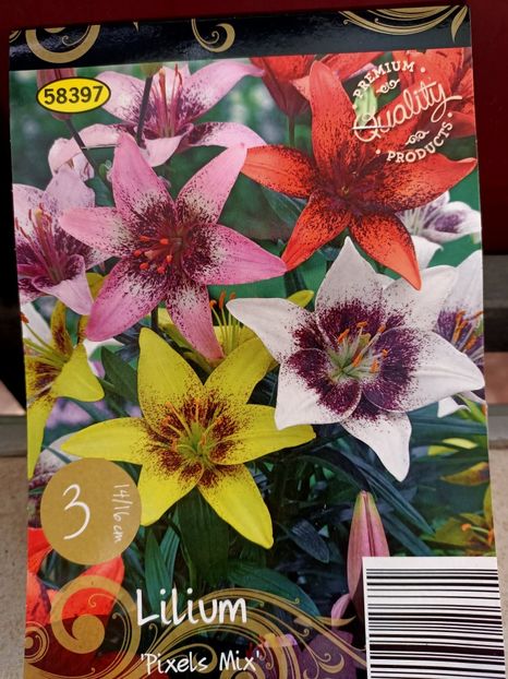 Img.2024.03.22 - 1 Achiziție nouă