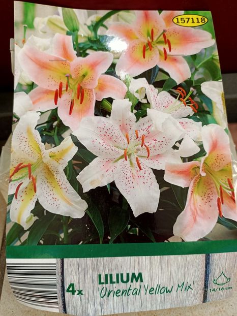 Img.2024.03.22 - 1 Achiziție nouă