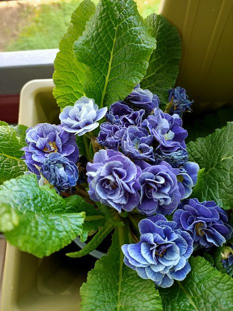 Img.2024.03.21 - 1 Achiziție nouă