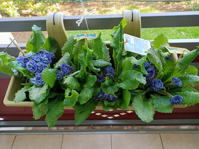 Img.2024.03.21 - 1 Achiziție nouă