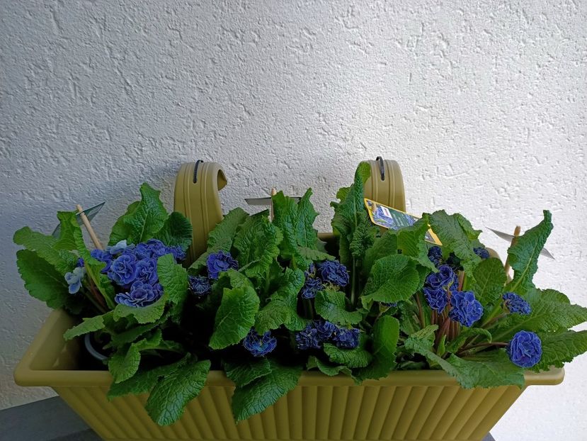 Img.2024.03.21 - 1 Achiziție nouă