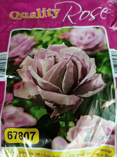 Img.2024.03.18 - 1 Achiziție nouă