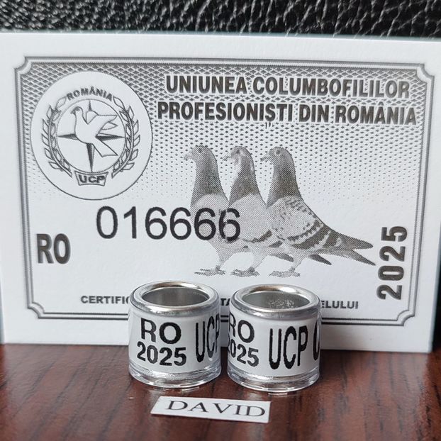 2025 UCP+talon....-1,5 lei - Inele 2014