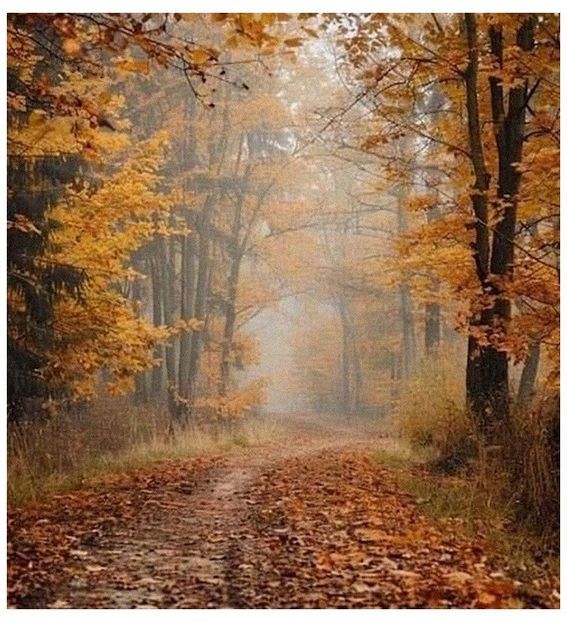 ♡ ɴᴏᴠᴇᴍʙᴇʀ 14 » „Bună seara, iubite, te-aștept ca și când, numai dragostea noastră ar fi - Tomnatic și nostalgic