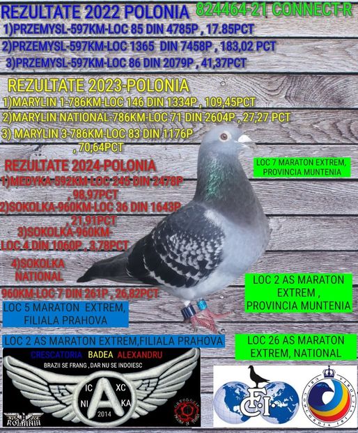 CONNECT-R-824464-21 - 2024-PORUMBEI REPREZENTATIVI COLUMBA