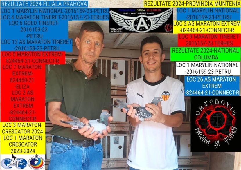 CRESCATORIA BADEA ALEXANDRU - 2024-PORUMBEI REPREZENTATIVI COLUMBA