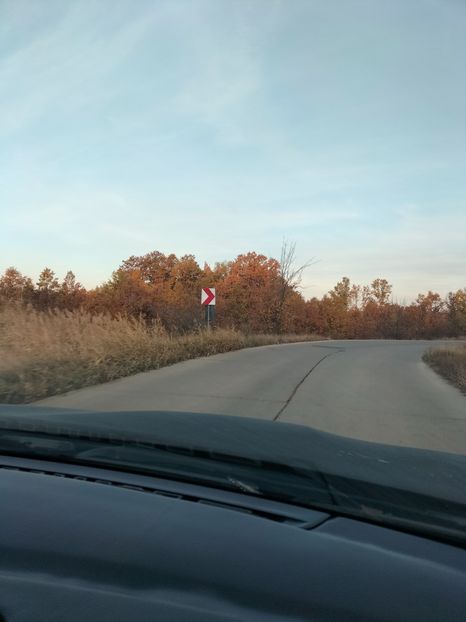 IMG20241101073728 - Noiembrie 2024