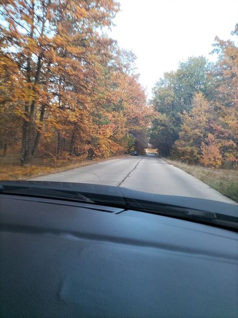 IMG20241101073707 - Noiembrie 2024