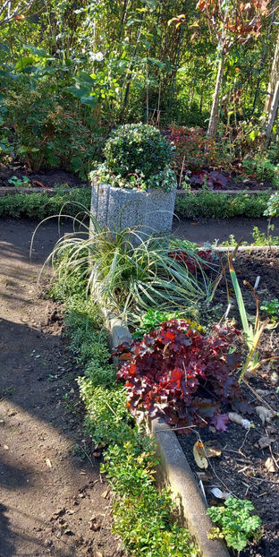  - 2024 - 03 - Toamna